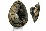 Septarian Dragon Egg Geode - Removable Section #121264-1